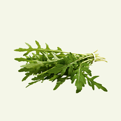 product_rucola